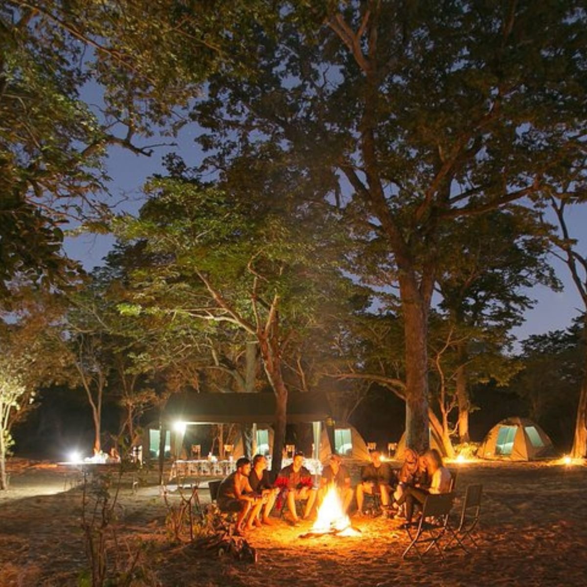 Night drive or bush dinner near Victoria Falls