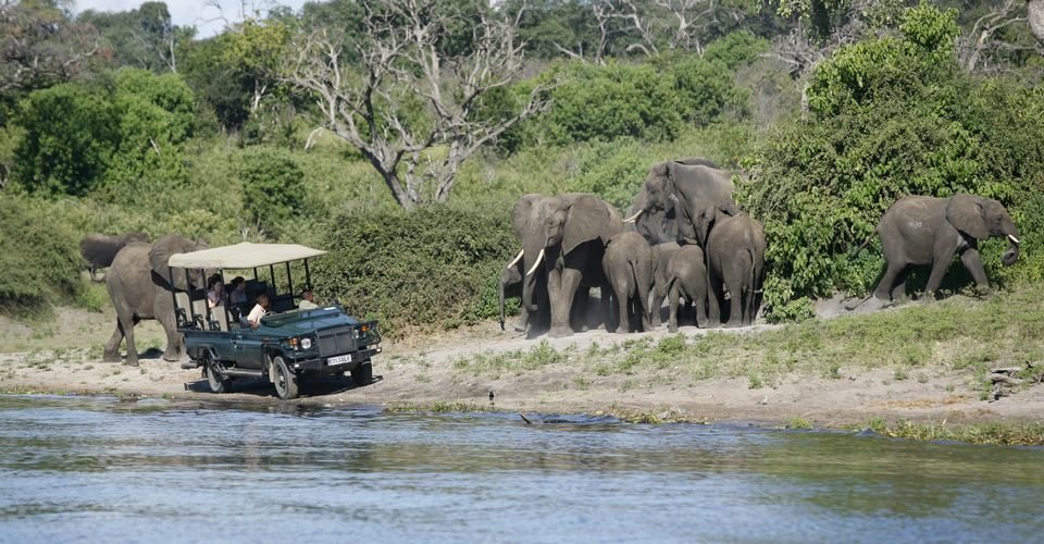 Full Day Chobe Trip from Victoria Falls, Botswana