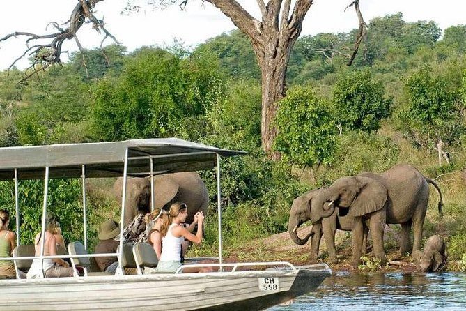 Chobe River sunset cruise, Botswana