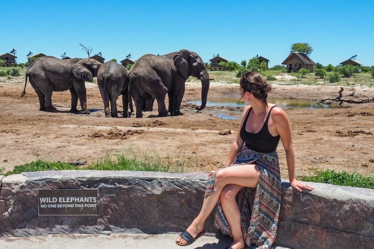 Elephant Encounter near Victoria Falls