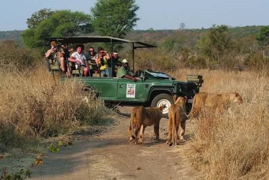 Game drive in a private game reserve near Victoria Falls