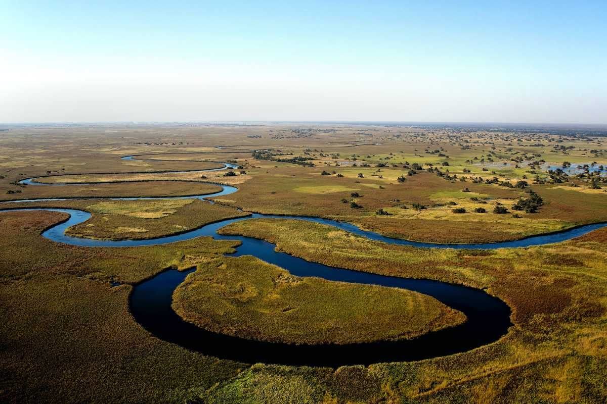 Aerial view of the Okavango Delta's winding channels, Botswana