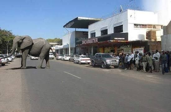 Taxi and transfer hub in Victoria Falls town centre, Zimbabwe